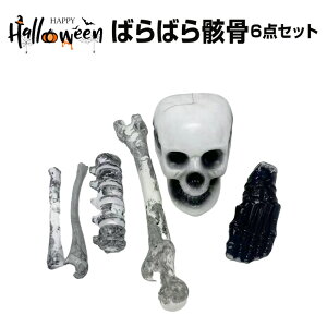 nEB  [ 6_Zbg W p[c XPg XJ hN nEB  IuWF fR[V  u I[ig S[Xg ]r `[t  