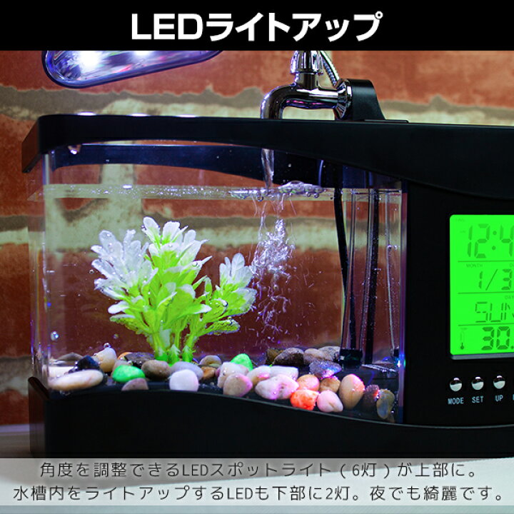 楽天市場 卓上 ミニ水槽 多機能モデル 全2色 横24cm インテリア おしゃれ 小型水槽 プラスチック アクアリウム メダカ 金魚 小魚 水族館 Ledライト付き 時計付き 物置付き 雑貨 お祭り 景品 夏休み 自由研究 観察用 観賞用 癒し バラエティ本舗