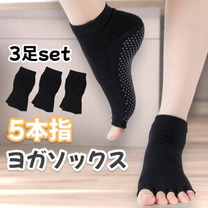 K\bNX 5{w 3Zbg ubN  ~ I[vgD K seBX ނh~ y܂T|[g  Rbg fB[X Y tBbglX Xgb` g[jO 