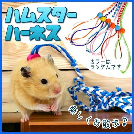 ハムスター ハーネス リード 小動物 うさぎ フェレット モルモット マウス ミニウサギ リス ペット用 ロープ 編み込み かわいい カラフル おしゃれ 散歩 お出かけ 調整可能 安全