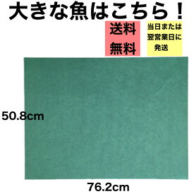 グリーンパーチ 魚を包む緑の紙 耐湿紙 熟成 おさかなパックン 耐水紙 パーチペーパー 津本式 釣り 血抜き 半切508×762mm 500枚