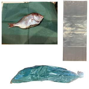 ނpiC O[p[` ޗ΂̎ ώ n Ö{ ȃpbN  e500v1000 yZbg̔z