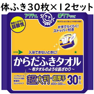 ANeBՂg邩炾ӂ^I 30×12Zbg