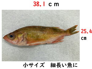 zCgp[` ޔ̎ ޔ ۑN ~[gy[p[ ώ n Ö{  8؂381×254mm 500