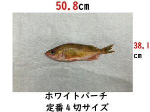 zCgp[` ގ ޔ̎ ۑN ~[gy[p[ ώ n Ö{  4؂508×381mm 50