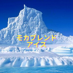 yJuhACXR[q[z400g^[pbN֑ }ChACXR[q[ [ ACXR[q[p sw ice