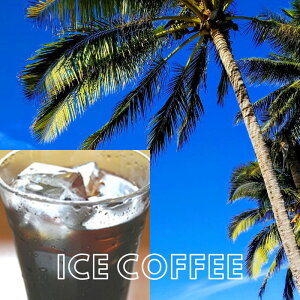 yM[ ACXR[q[z200g[֑ ꖡ [ ACXR[q[p iX̃ACXR[q[ Ȃ炱ꂨ {iACX  ȒP sw u15 ice