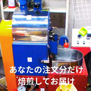 pi}Eor[g_ eBsJEEHbVh エ͂  l̋C܂