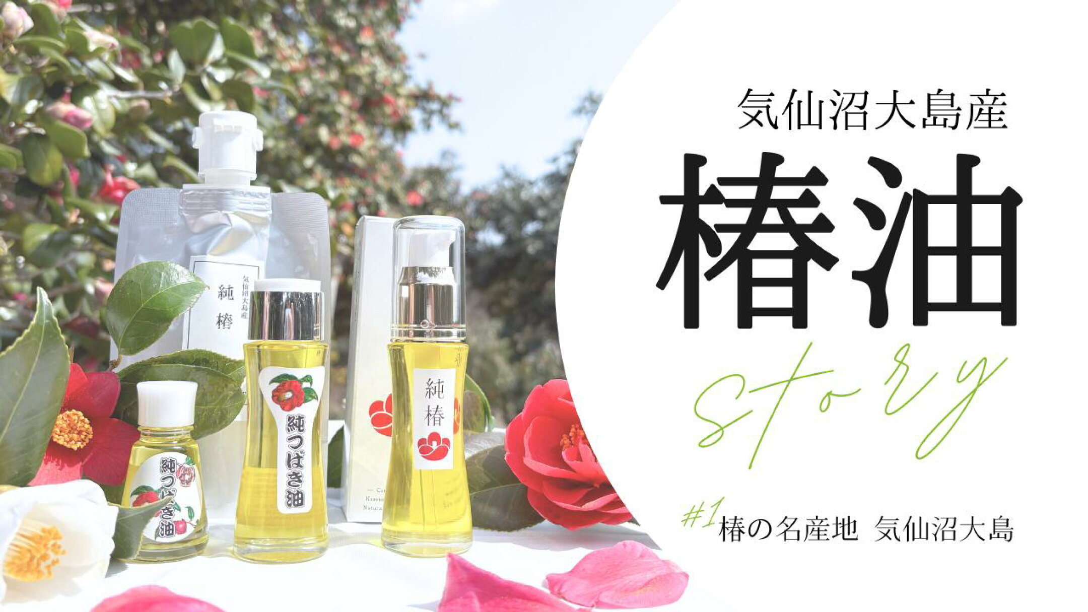 気仙沼椿油特集｜椿の名産地気仙沼大島