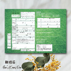 fUĆwׂ̎Ő͐xIWi E߁ECh~E񎟉̌iiȂǂɍœK