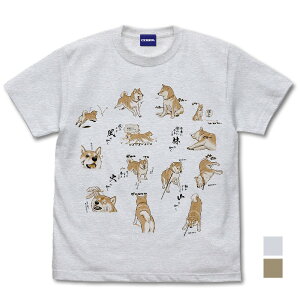 ȄIɎČ щΎR TVc SAND KHAKI L y12/04ׁz