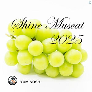 y8{ȍ~z2025Ny ̃VC}XJbg z\̔@YUM NOSH