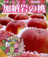 【 世界農業遺産 認定 】山梨の桃 特撰 山梨県 加納岩の桃（ かのいわのもも ）特秀 大玉 【 アンの桃 】…