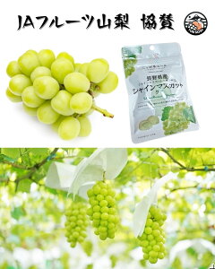 VC}XJbg E_ƈY R   Ԃǂ Mtg Ε NX}X yYy YUM NOSH z