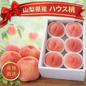 �y4�����{��蔭���z�R�����Y �n�E�X�� ���ϔ����� 1kg JA�t���[�c��܂Ȃ����^�X YUM NOSH ������ �����p �����t���[�c ��