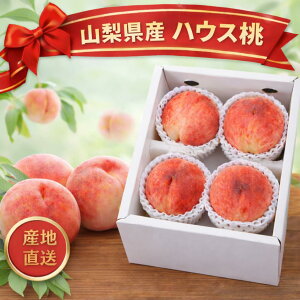 �R�����Y �n�E�X�� ���ϔ����� 4�� JA�t���[�c��܂Ȃ����^�X YUM NOSH ������ �����p �����t���[�c ��