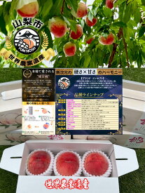 桃 話題沸騰！ 硬甘桃 （ かたあまもも ） 桃 もも 1キロ （大玉 約 3個） ☆ YUM NOSH 山梨 FRUITS CREW 【 世界農業遺産認定 】山梨 贈答品