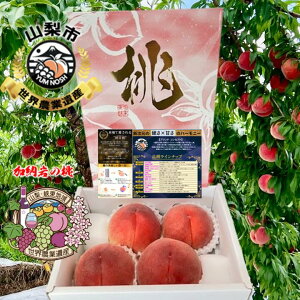 ōw Ă؂̂ nCGhs[` x ɏ dÓ 1.5L (  4 ) y E_ƈYF z ܂ ō d Â ł ܂ x 16xȏ ۏ n攭I