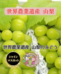 y9{蔭zy E_ƈY F z R VC}XJbg 2kg ( 3`5[) Ȃ 炲ƐHׂ y ґȂЂƂƂ z y YUM NOSH zx18xȏ  Ԃǂ G 