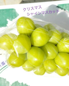 R VC}XJbg 1[ y YUM NOSH zy E_ƈY z  ~ Ԃǂ   t[c ~ Mtg 蕨 i Ε yY Yn 