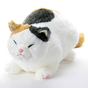 ʂ  lR L ˂ }A bNX Cuddly Jh[