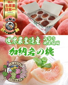 収穫次第発送【 世界農業遺産 認定 】 山梨の桃 特撰 山梨市 加納岩の桃（ かのいわのもも ）特秀 大玉【 アンの桃 】 桃 おいしい フルーツ 送料無料