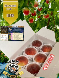 【 7月中旬以降発送 】桃 話題沸騰！ 硬甘桃 （ かたあまもも ） 桃 もも 2キロ （大玉 5〜6個） 糖度 13度以上 保証 ☆ 山梨 YUM NOSH【 世界農業遺産認定 】かたい あまい 最高 硬い 甘い 固い 贈り物