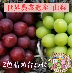  R 2Flߍ킹1.2L(2`3[j炵 Ԃǂ y E_ƈYF zy YUM NOSH zy Yn zy Mtg zy Z zy ÂĂ zy { zy lߍ킹 zy 9