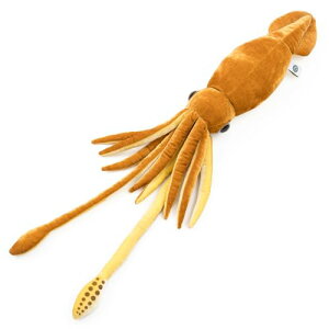 J[^ _CIECJ ʂ (MTCY/₳G) A CJ  l` Mtg v[g a (j2xς)