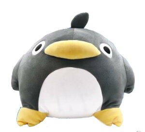 JAIA ߂ TCY 炩` ʂ yM