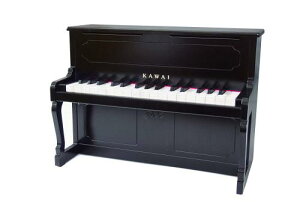 ͍y퐻쏊 KAWAI AbvCgsAm ubN
