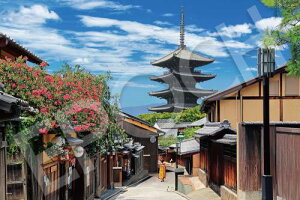 G|bN 2016x[X[s[X WO\[pY {i Sg炭̓-s (50×75cm) 22-121s ̂t wt _t EPOCH