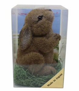 Vi_O[o TFC  삤B 17×11×14cm  ETM Aj}