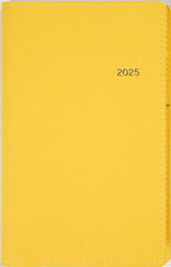 176 Tfbeau (eB[Yr[) 8 蒠 X 2025N CG[ EB[N[ 146/91