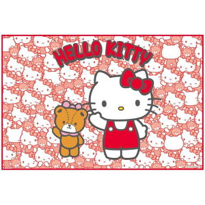 XP[^[(Skater) qp W[V[g  STCY 60×90cmTCY n[LeB 낤 TI VS1-A