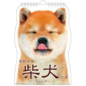 ANeBuR[|[V 2025N J_[ Ǌ| Čł 25ACL-65 2025N 1n܂