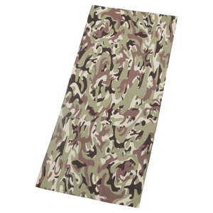 AXJ^I TbƃhC tFCX^I ASK-2AP-CAM-FALL