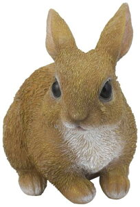 Z[uEC_Xg[ SAVE ̂肤 I[ig K[f CeA SV-5967