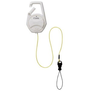 _C(DAIWA) NXeBAJTM K胍[v zCg