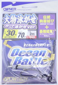 I[i[ F-6308 啨jd| OCjver. 30