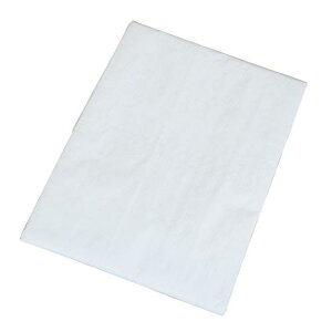 ^JCN #3000 zCgV[g 5.4m×5.4m WHS-13 h Ԍ W[V[g {Jo[ ς݃Jo[