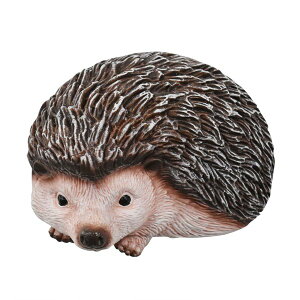 }Olbg nlY~ Aj}tY G   [