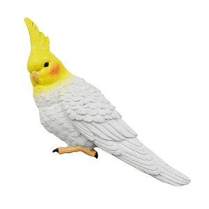 }Olbg IJCR Aj}tY G   [