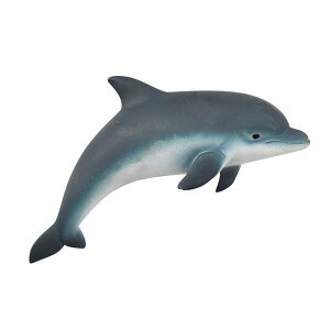 }Olbg CJ Aj}tY G   [