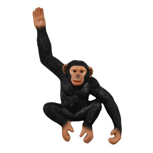 }Olbg `pW[ Aj}tY G   [