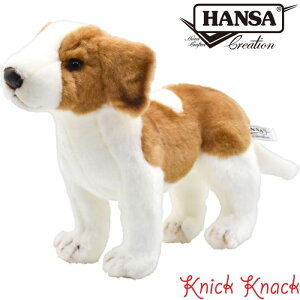 HANSA Zgo[i[h e BH3448@nT A  ʂ ObY G u IuWF CeA  