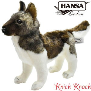 HANSA Hc BH6143@nT A  ʂ ObY G u IuWF CeA AL^Ck