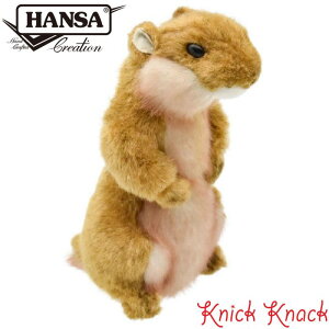 HANSA v[[hbO BH3683@nT A  ʂ ObY G u IuWF CeA