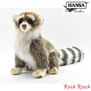 yzHANSA ACO} BH4248@nT A  ʂ ObY G u IuWF CeA F