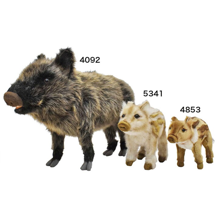 楽天市場 リアル動物ぬいぐるみ Hansa ハンサ イノシシ 子 うり坊 4853 かわいい サプライズ 動物 置物 おすすめ プレゼント プチギフト 誕生日 お祝い クリスマス 父の日 バレンタインデー ホワイトデー 母の日 敬老の日 ニックナック